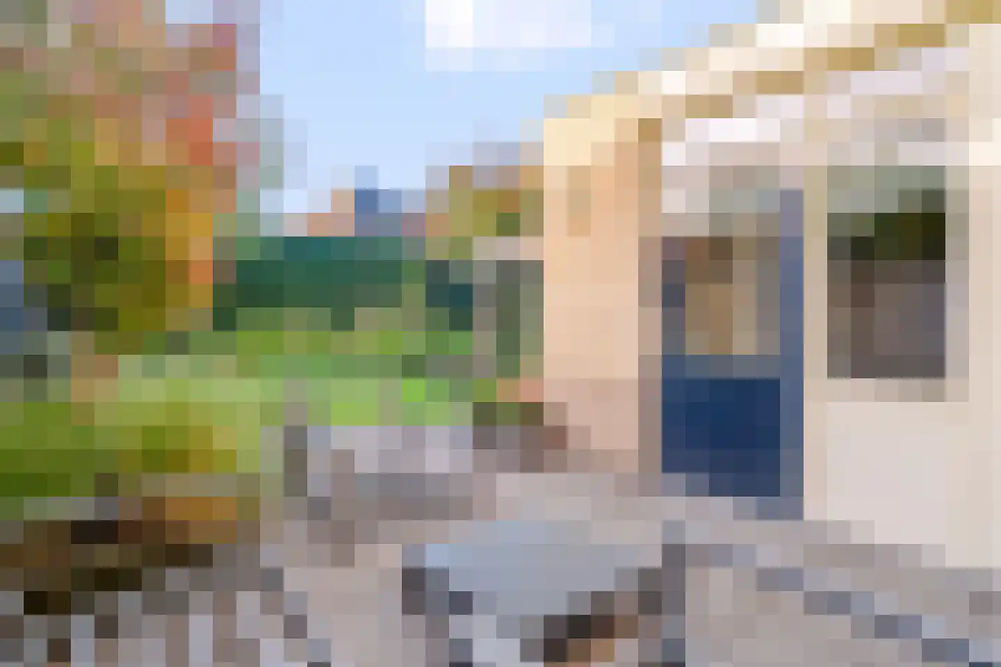 Steenanjer 7 Nijverdal thumbnail 31