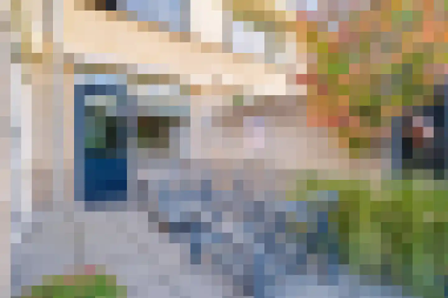 Steenanjer 7 Nijverdal thumbnail 32