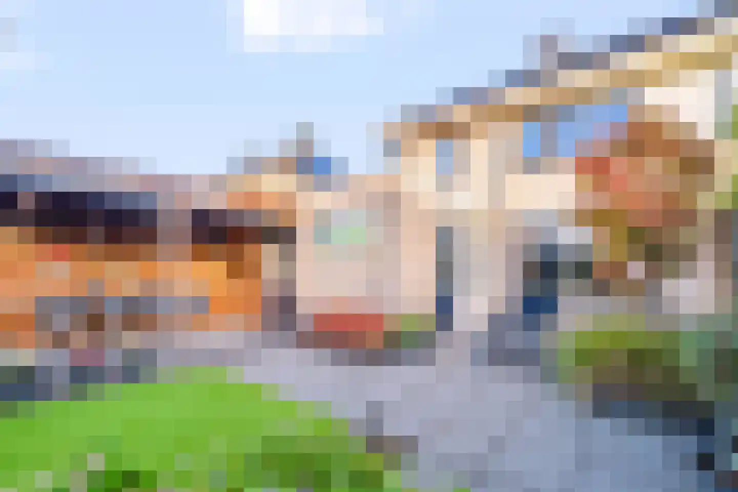 Steenanjer 7 Nijverdal thumbnail 33