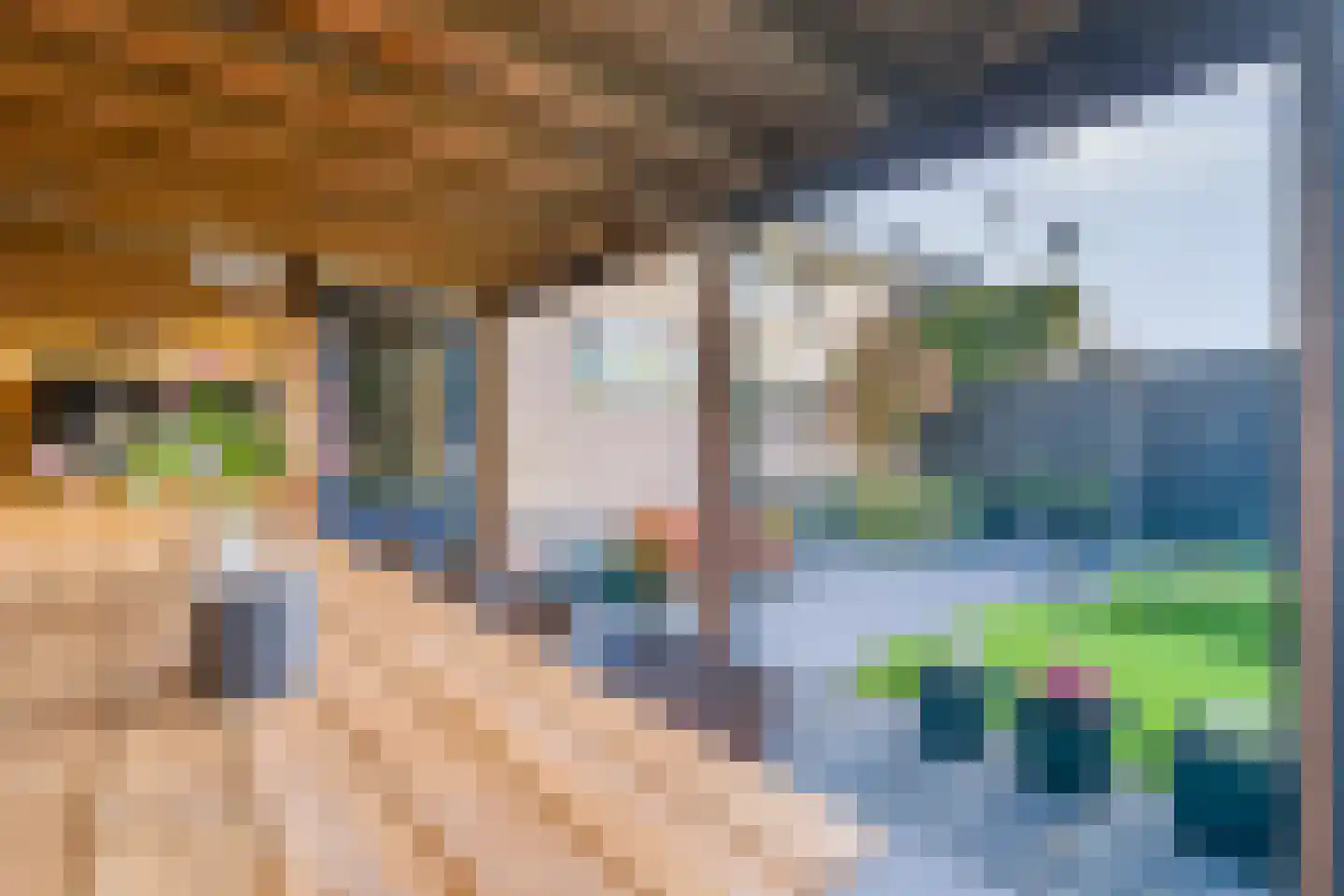 Steenanjer 7 Nijverdal thumbnail 34