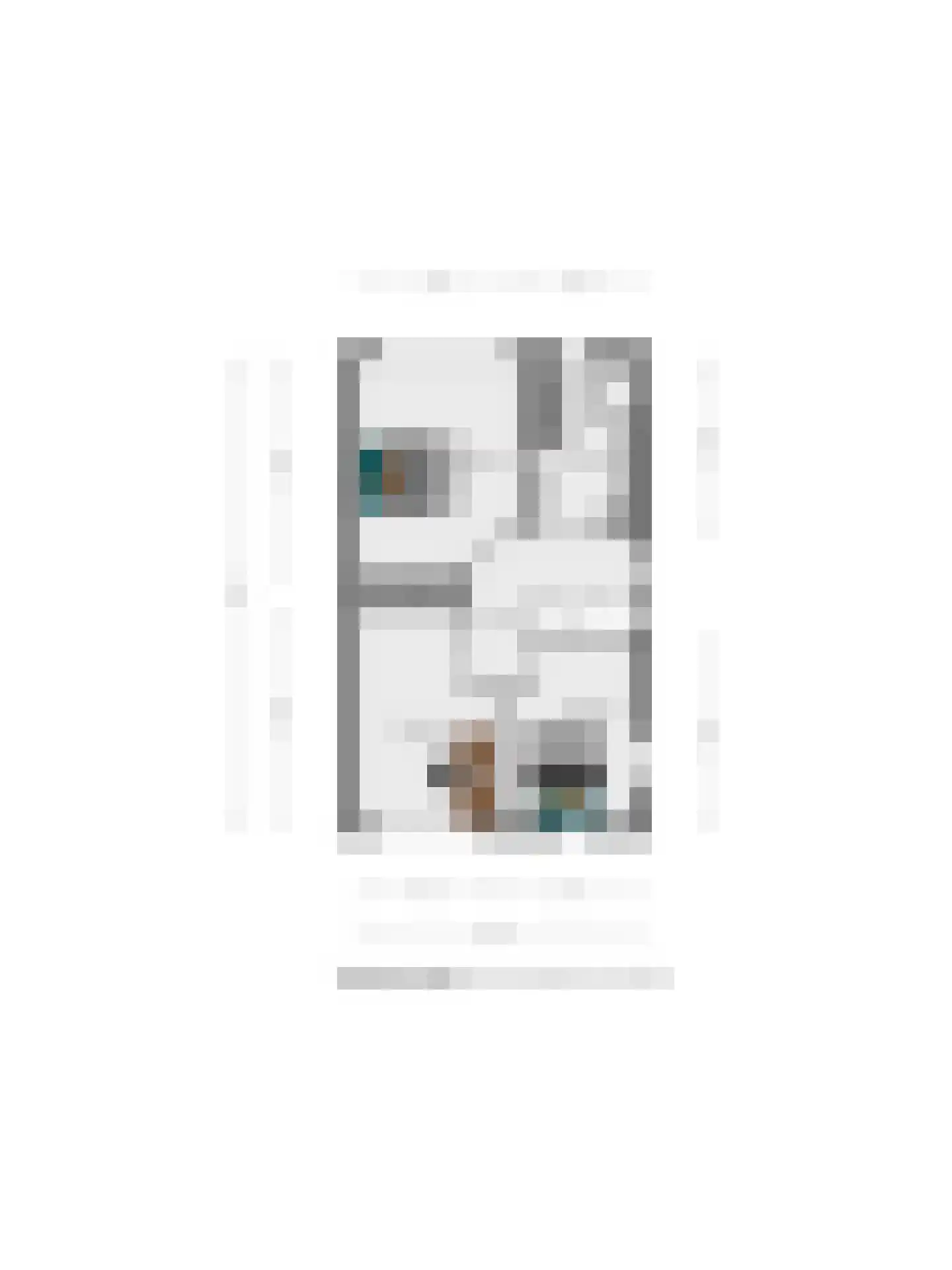 Steenanjer 7 Nijverdal thumbnail 39