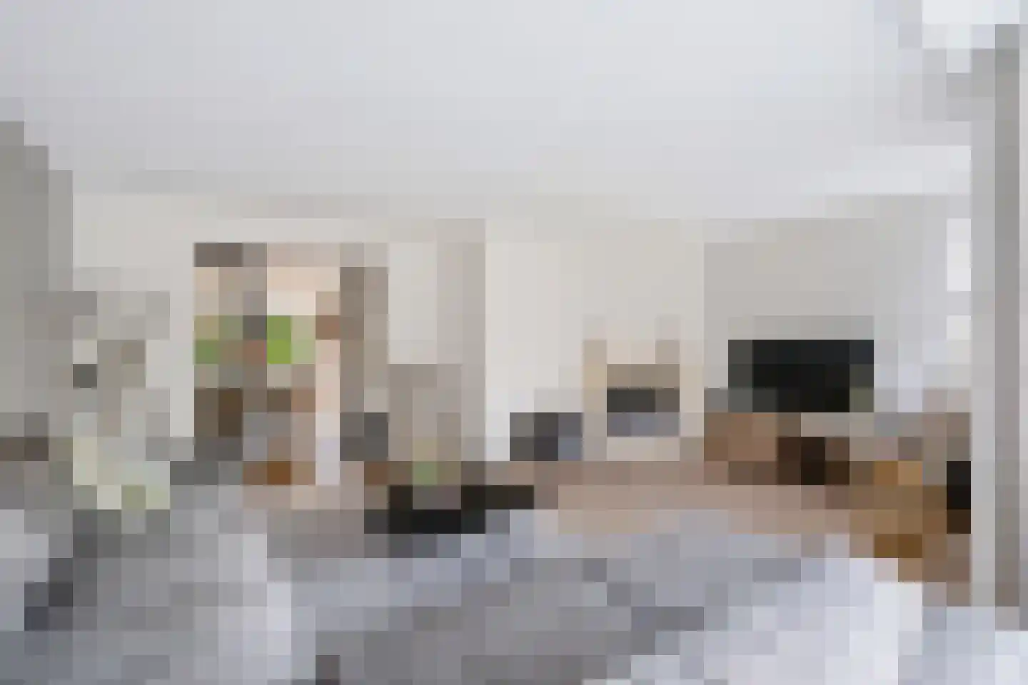 Steenanjer 7 Nijverdal thumbnail 4