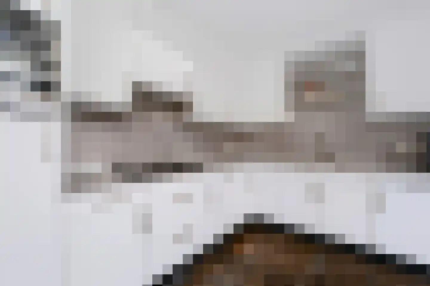 Steenanjer 7 Nijverdal thumbnail 6