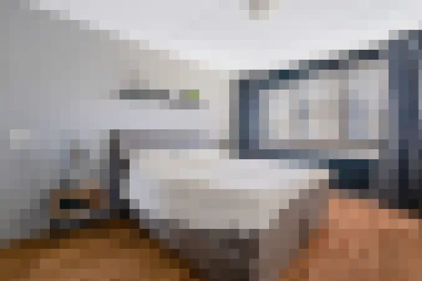 Steenanjer 7 Nijverdal thumbnail 9