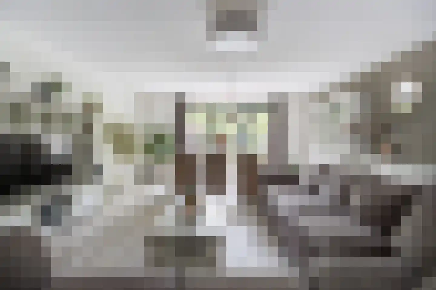 Steenarend 17 Bosschenhoofd thumbnail 10