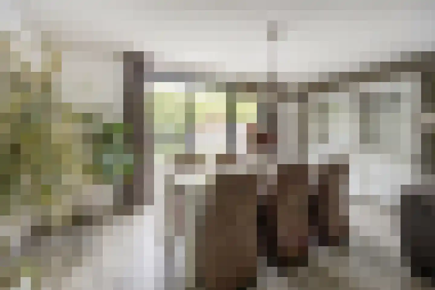 Steenarend 17 Bosschenhoofd thumbnail 12