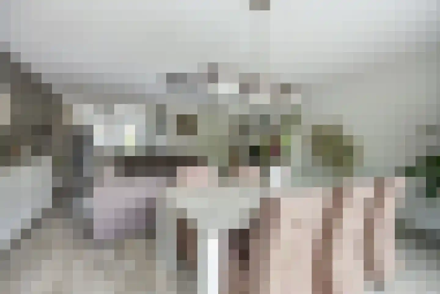 Steenarend 17 Bosschenhoofd thumbnail 14