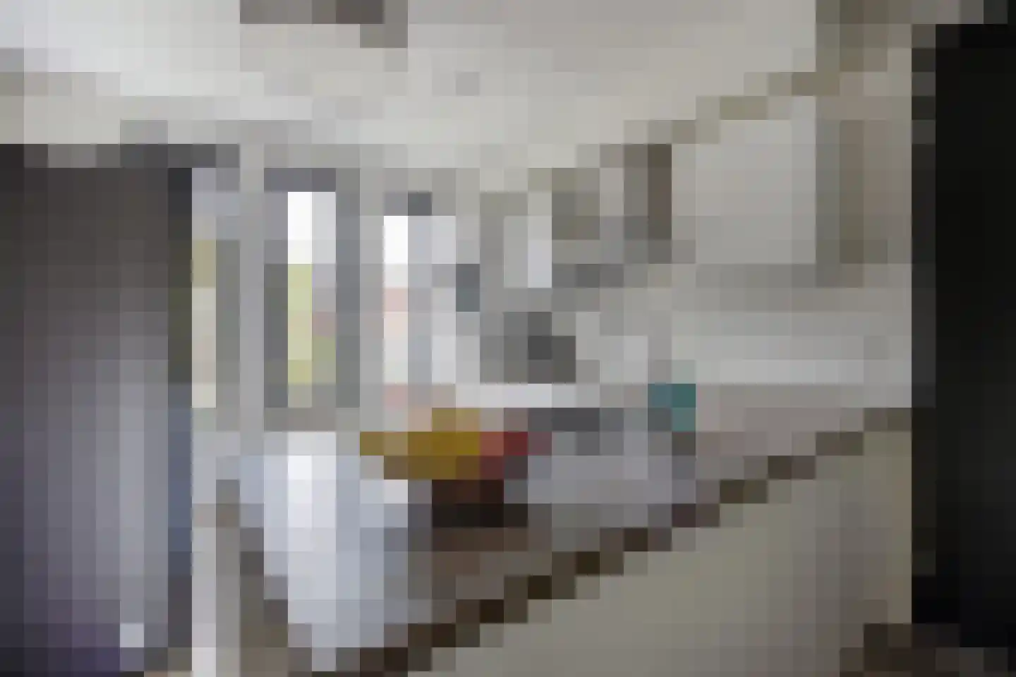 Steenarend 17 Bosschenhoofd thumbnail 16