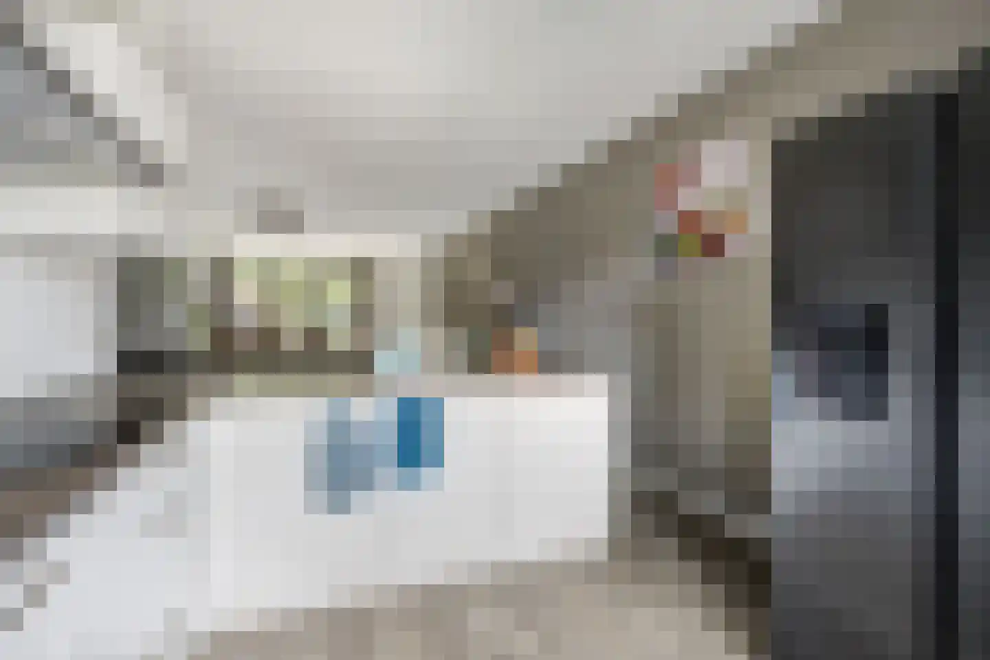Steenarend 17 Bosschenhoofd thumbnail 18