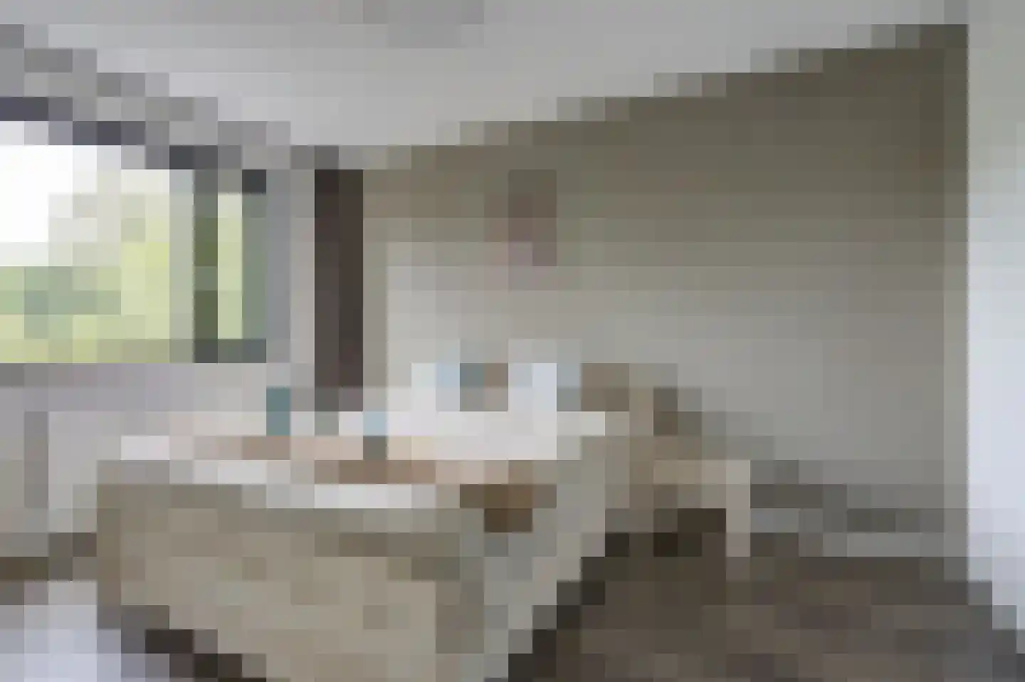 Steenarend 17 Bosschenhoofd thumbnail 20