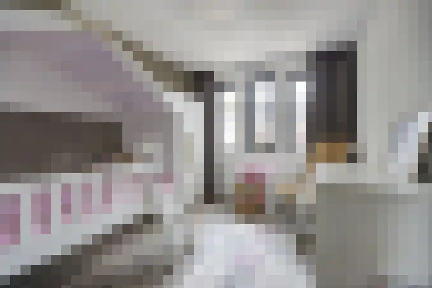 Steenarend 17 Bosschenhoofd thumbnail 24