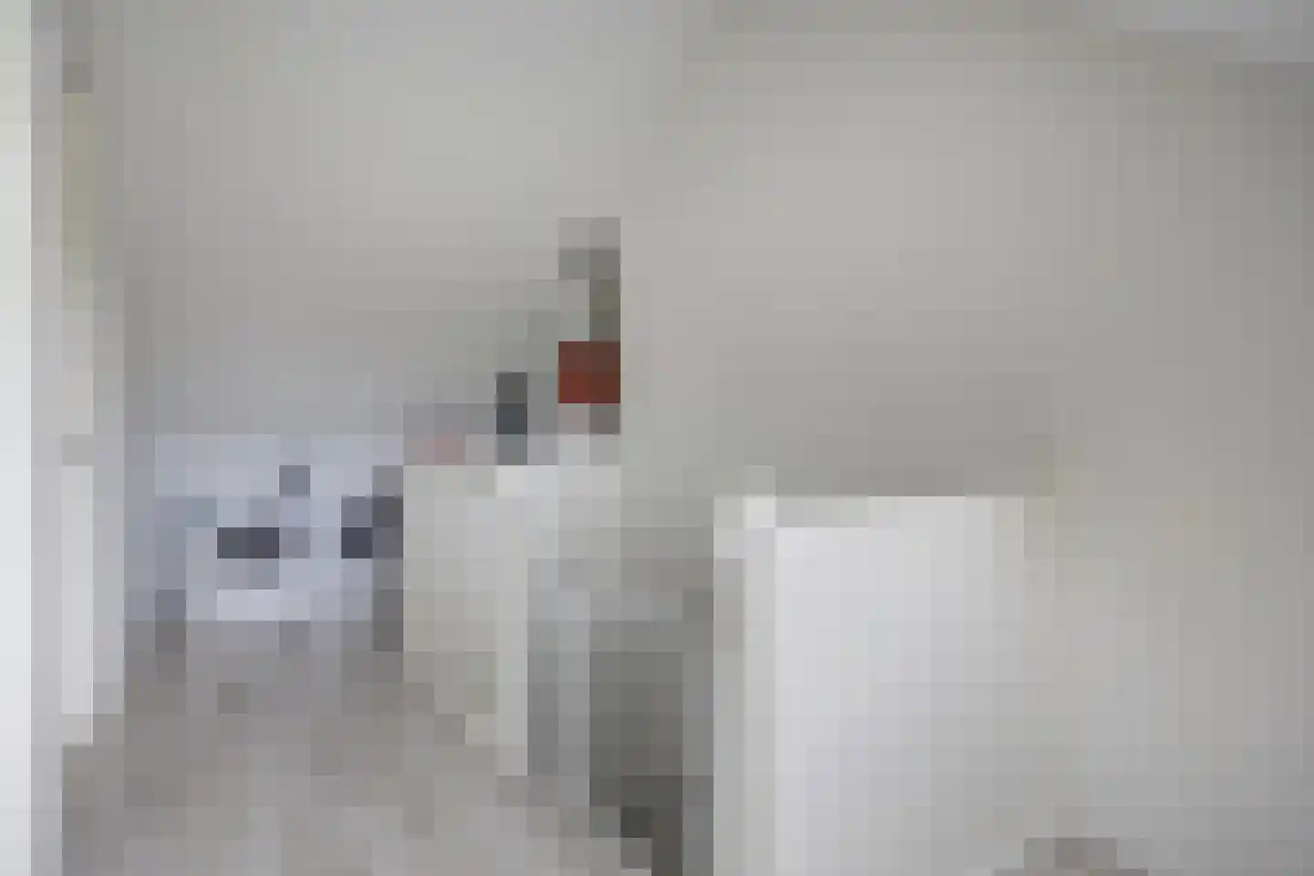 Steenarend 17 Bosschenhoofd thumbnail 31