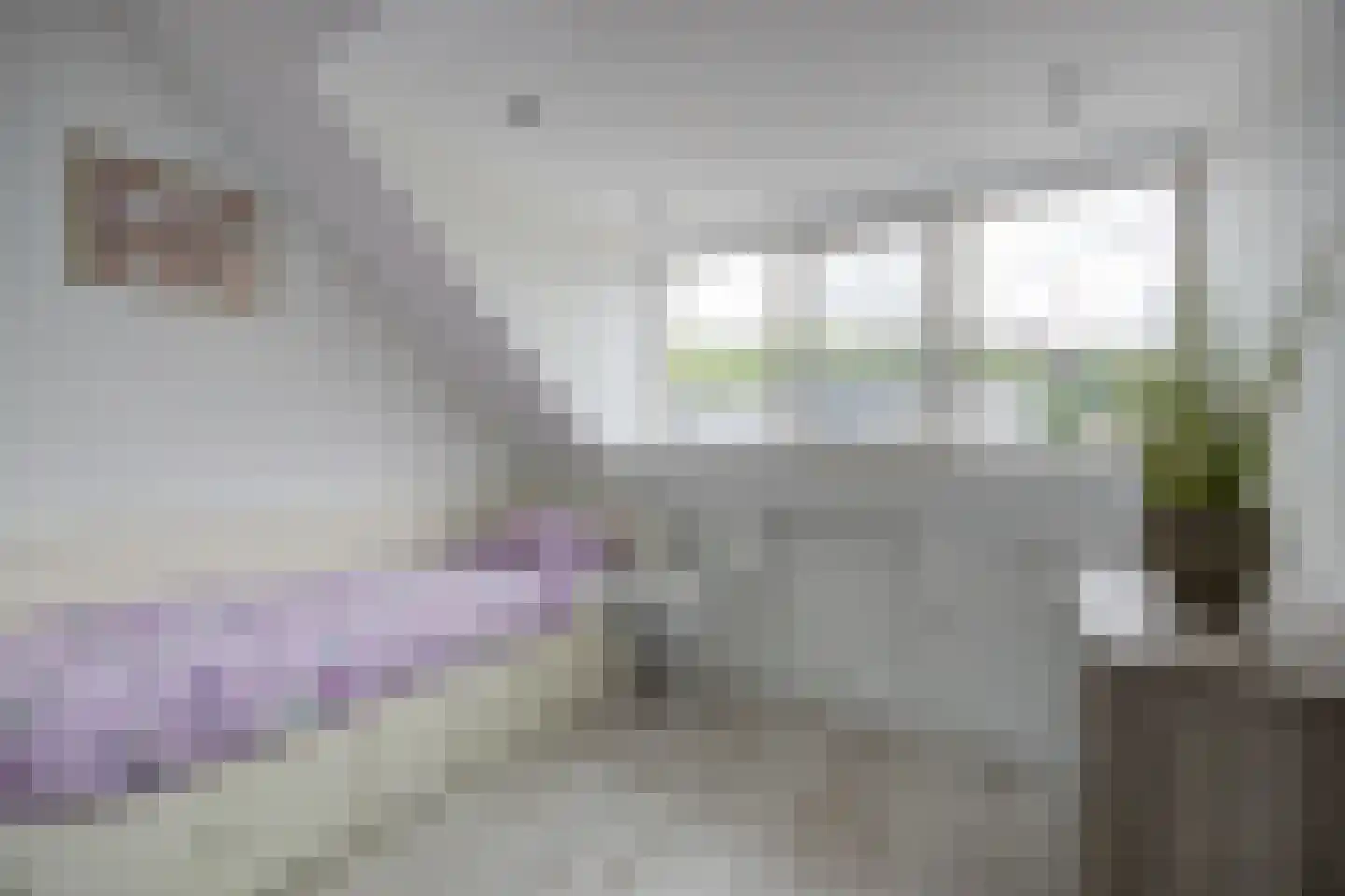 Steenarend 17 Bosschenhoofd thumbnail 34