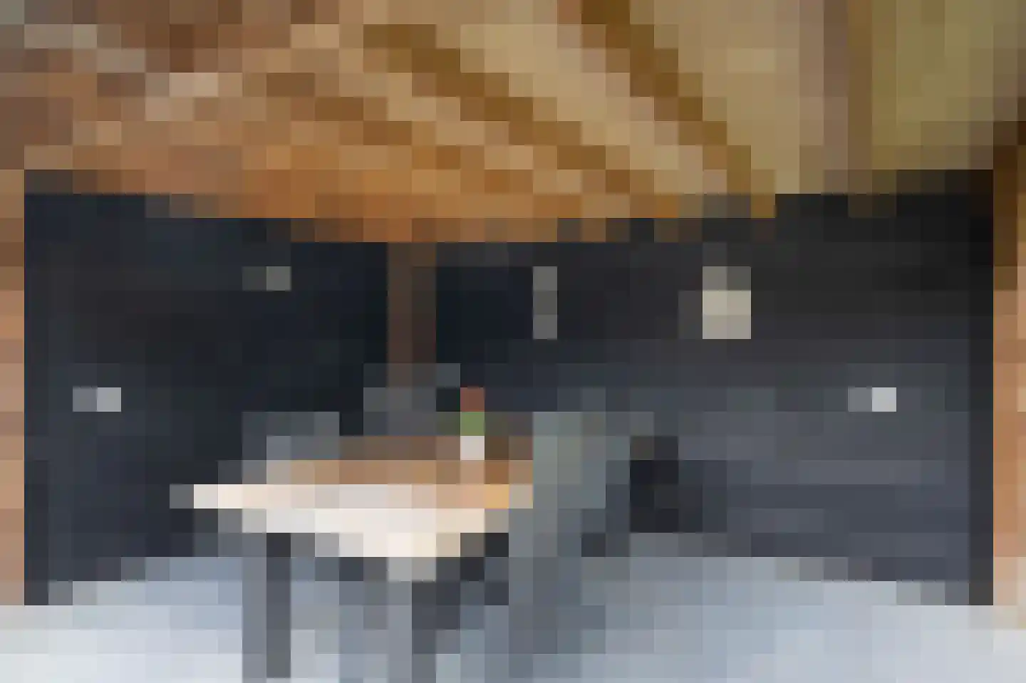 Steenarend 17 Bosschenhoofd thumbnail 41