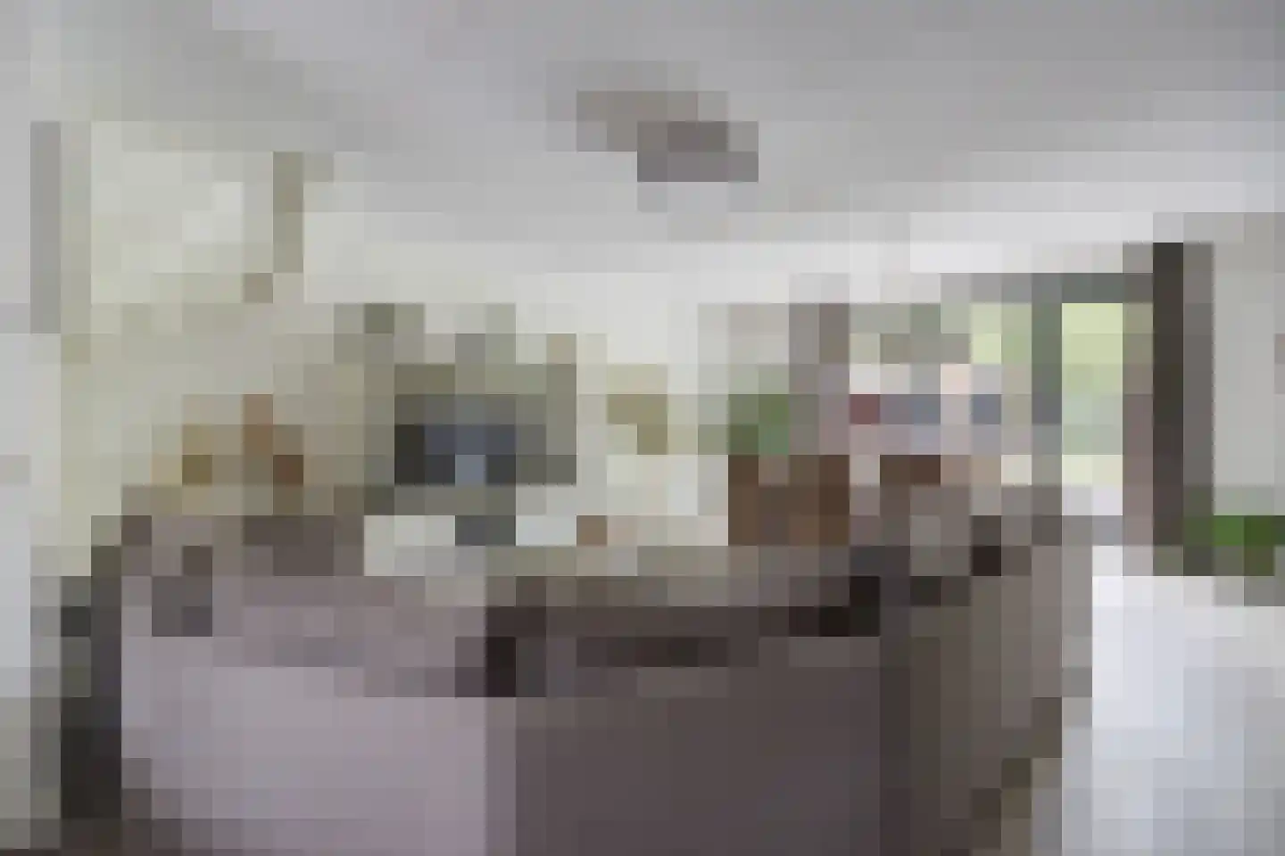 Steenarend 17 Bosschenhoofd thumbnail 8