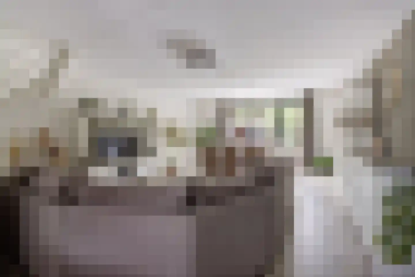 Steenarend 17 Bosschenhoofd thumbnail 9