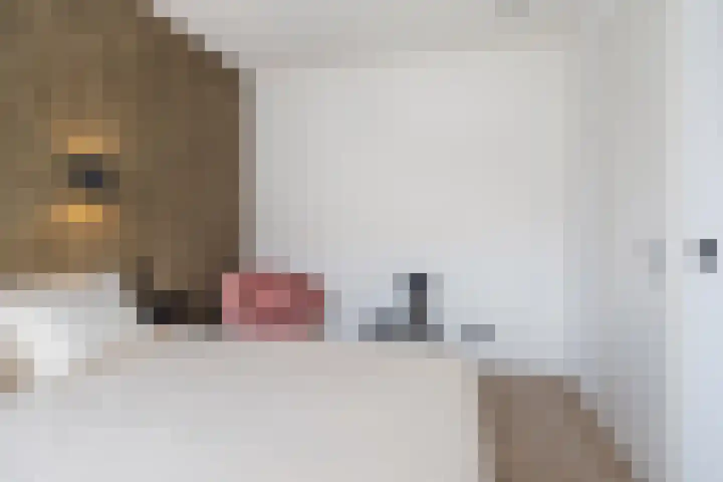 Steenarend 18 Bosschenhoofd thumbnail 16