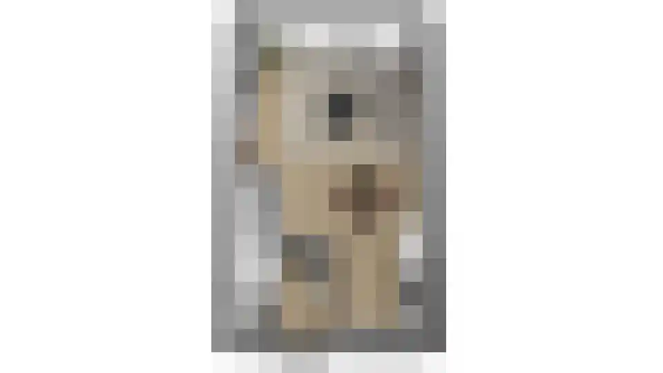 Steenarend 18 Bosschenhoofd thumbnail 27