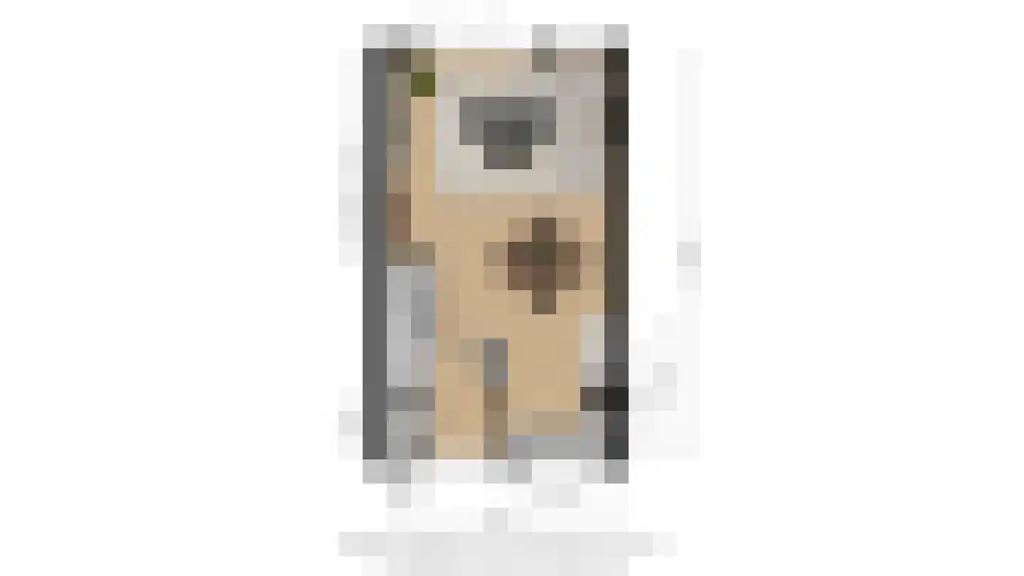 Steenarend 18 Bosschenhoofd thumbnail 28