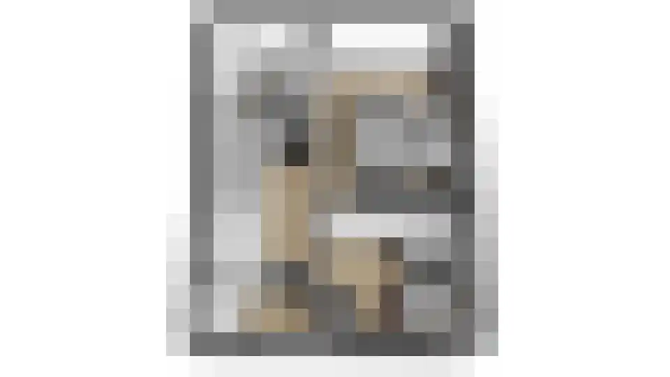 Steenarend 18 Bosschenhoofd thumbnail 29