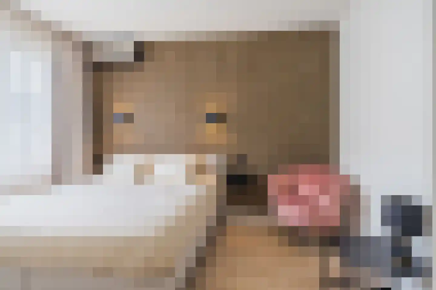 Steenarend 18 Bosschenhoofd thumbnail 6