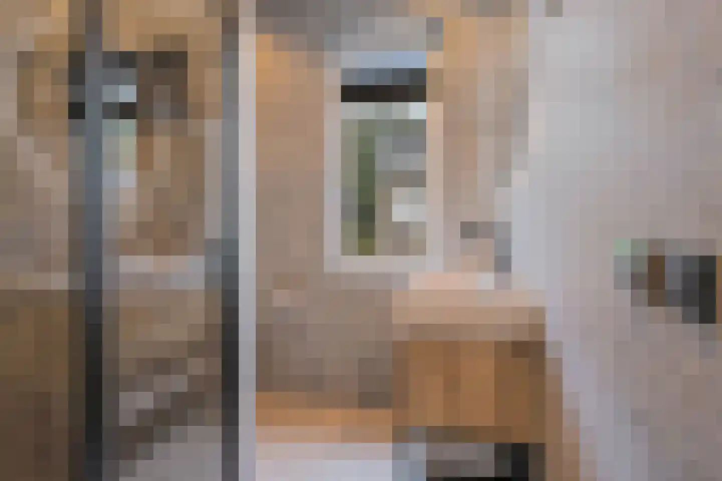 Steenarend 18 Bosschenhoofd thumbnail 7