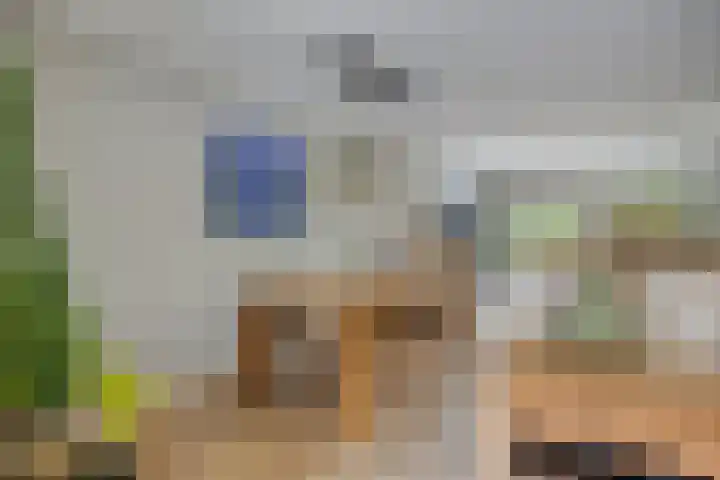 Steenarend 20 Nieuwegein thumbnail 10