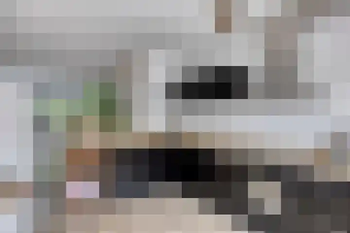Steenarend 20 Nieuwegein thumbnail 11