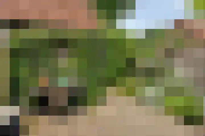 Steenarend 20 Nieuwegein thumbnail 25