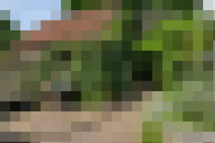 Steenarend 20 Nieuwegein thumbnail 26