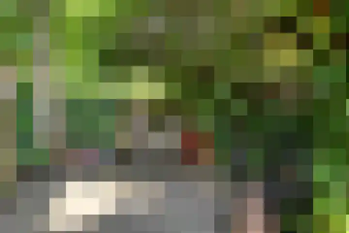 Steenarend 20 Nieuwegein thumbnail 28