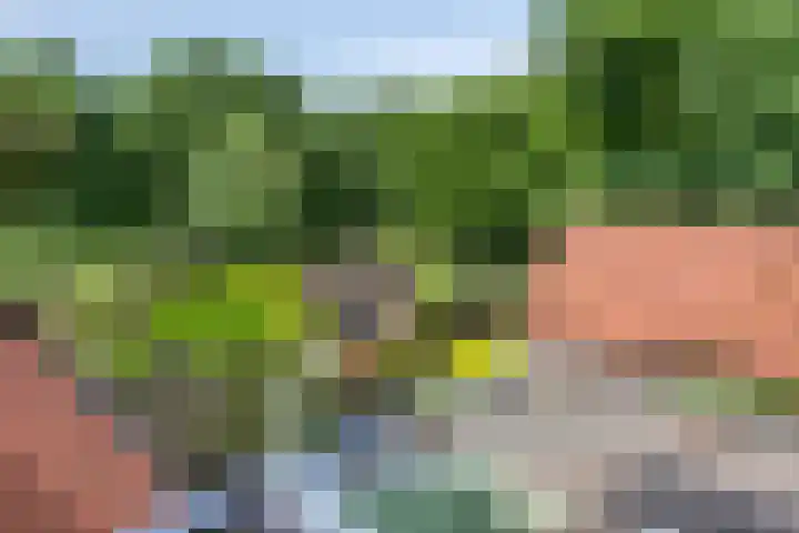 Steenarend 20 Nieuwegein thumbnail 29