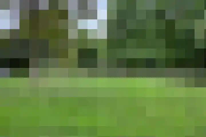 Steenarend 20 Nieuwegein thumbnail 32
