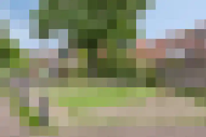 Steenarend 20 Nieuwegein thumbnail 33