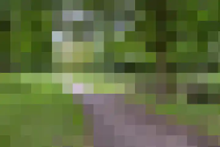 Steenarend 20 Nieuwegein thumbnail 34