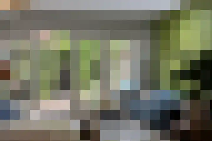 Steenarend 20 Nieuwegein thumbnail 6