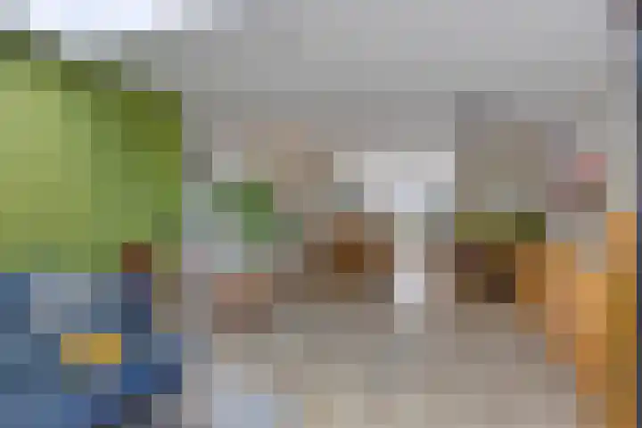 Steenarend 20 Nieuwegein thumbnail 7