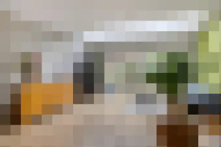 Steenarend 20 Nieuwegein thumbnail 8