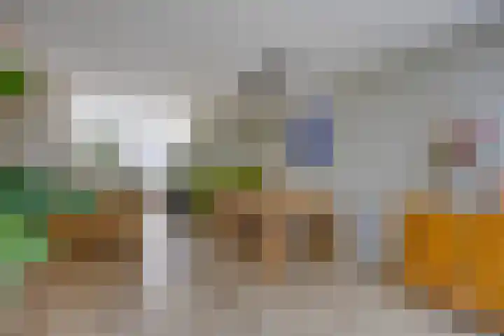 Steenarend 20 Nieuwegein thumbnail 9