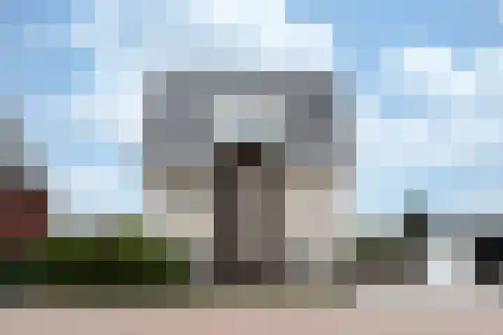Steenarend 3 Bosschenhoofd