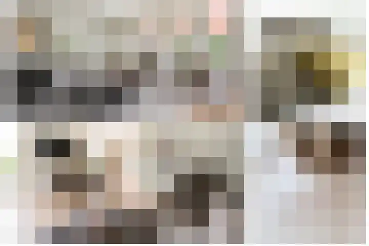 Steenarend 3 Bosschenhoofd thumbnail 10