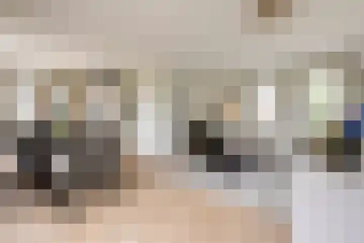 Steenarend 3 Bosschenhoofd thumbnail 11