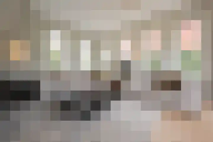 Steenarend 3 Bosschenhoofd thumbnail 12