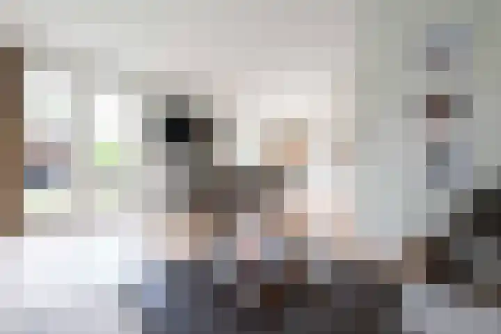 Steenarend 3 Bosschenhoofd thumbnail 13