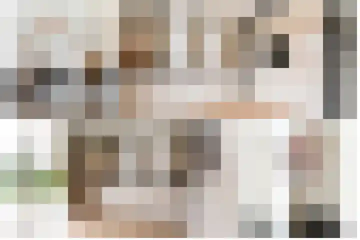 Steenarend 3 Bosschenhoofd thumbnail 15