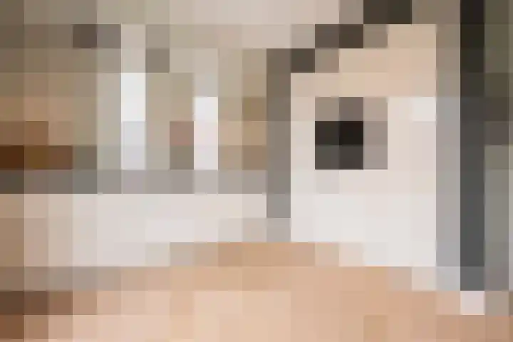 Steenarend 3 Bosschenhoofd thumbnail 16
