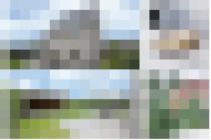 Steenarend 3 Bosschenhoofd thumbnail 19