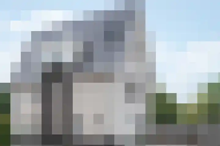 Steenarend 3 Bosschenhoofd foto 2