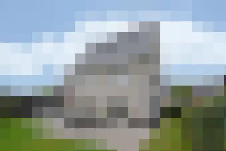 Steenarend 3 Bosschenhoofd thumbnail 20