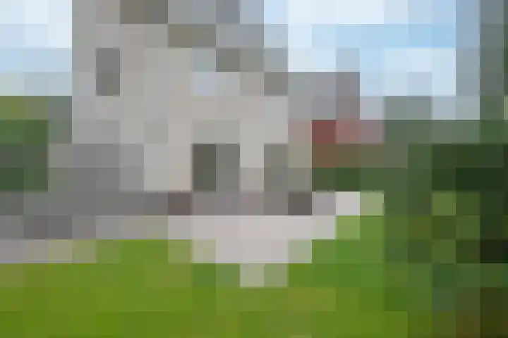 Steenarend 3 Bosschenhoofd thumbnail 21